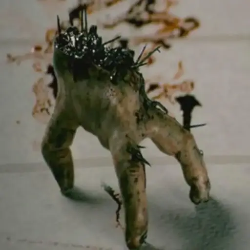 Splinter Fungus