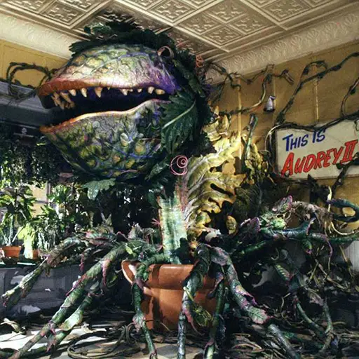 Audrey II