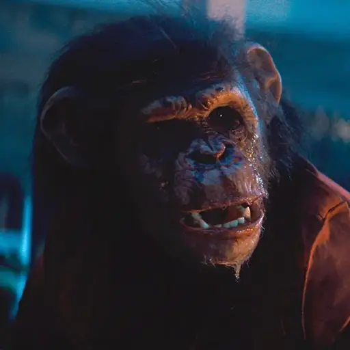 El chimpancé Ben