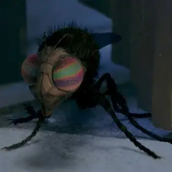 Horseflies