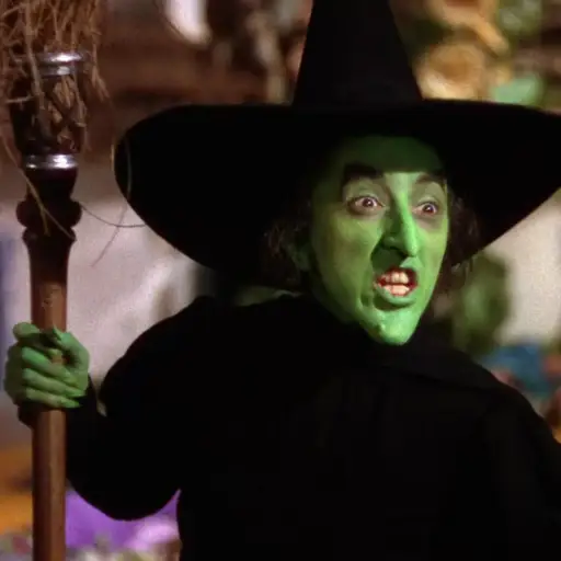 Wicked East Witch