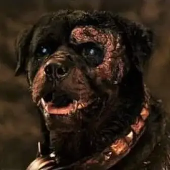 Rottweiler