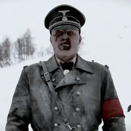 Coronel Herzog