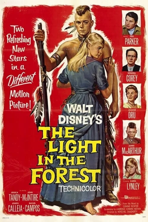 The Light in the Forest