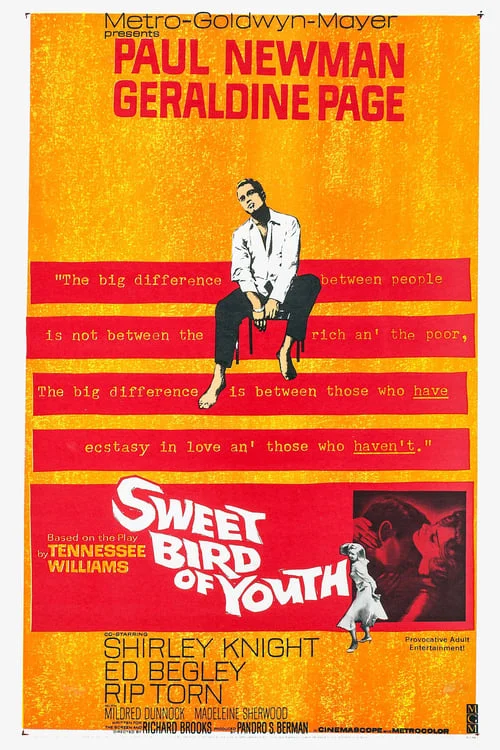 Sweet Bird of Youth