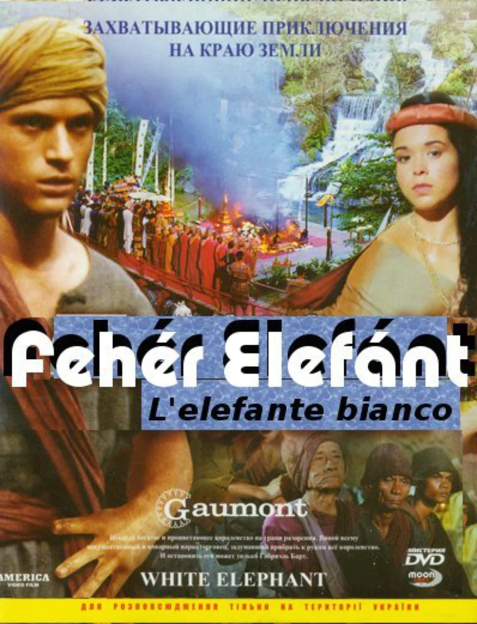L'elefante bianco