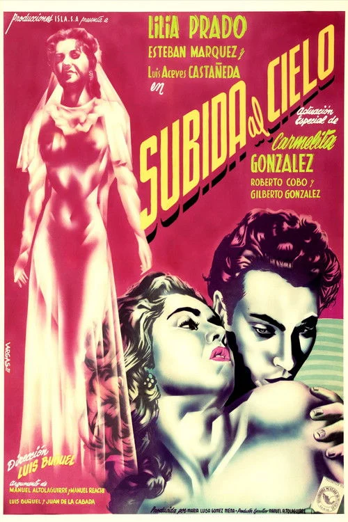 Subida al Cielo
