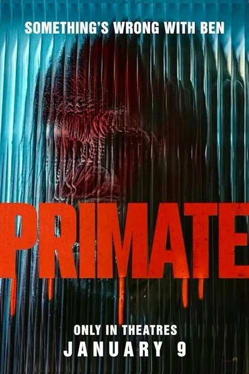Primate