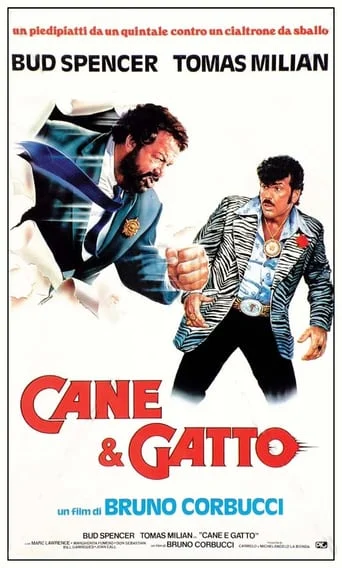 Cane e Gatto