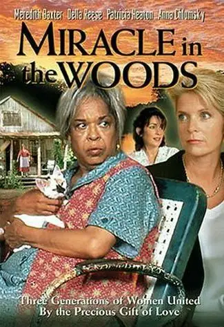 Miracle in the Woods