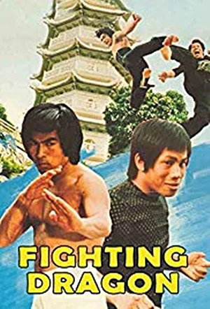 Fight! Dragon