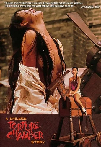 A Chinese Torture Chamber Story