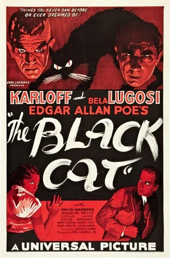 The Black Cat