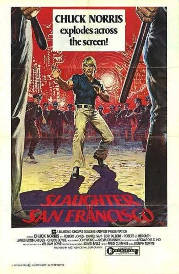 Chuck Norris vs. the Karate Cop