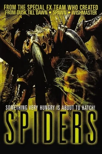 Spiders