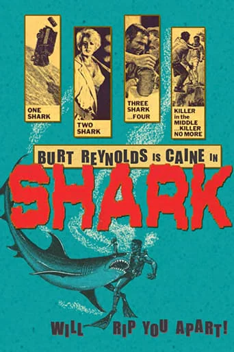 Shark!