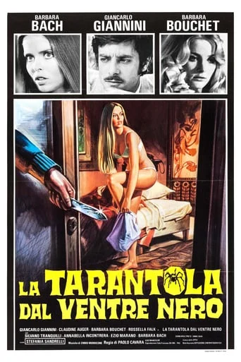 La tarantola dal ventre nero