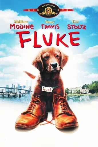Fluke