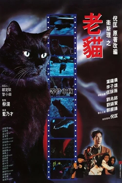 The Cat