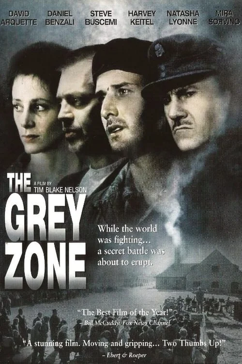 The Grey Zone