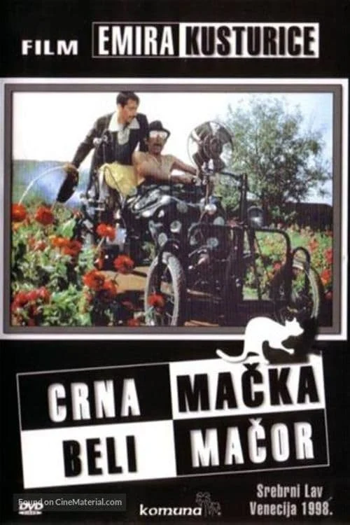 Crna mačka, beli mačor
