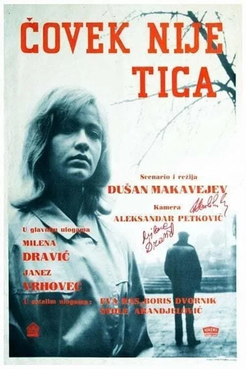 Čovek nije tica