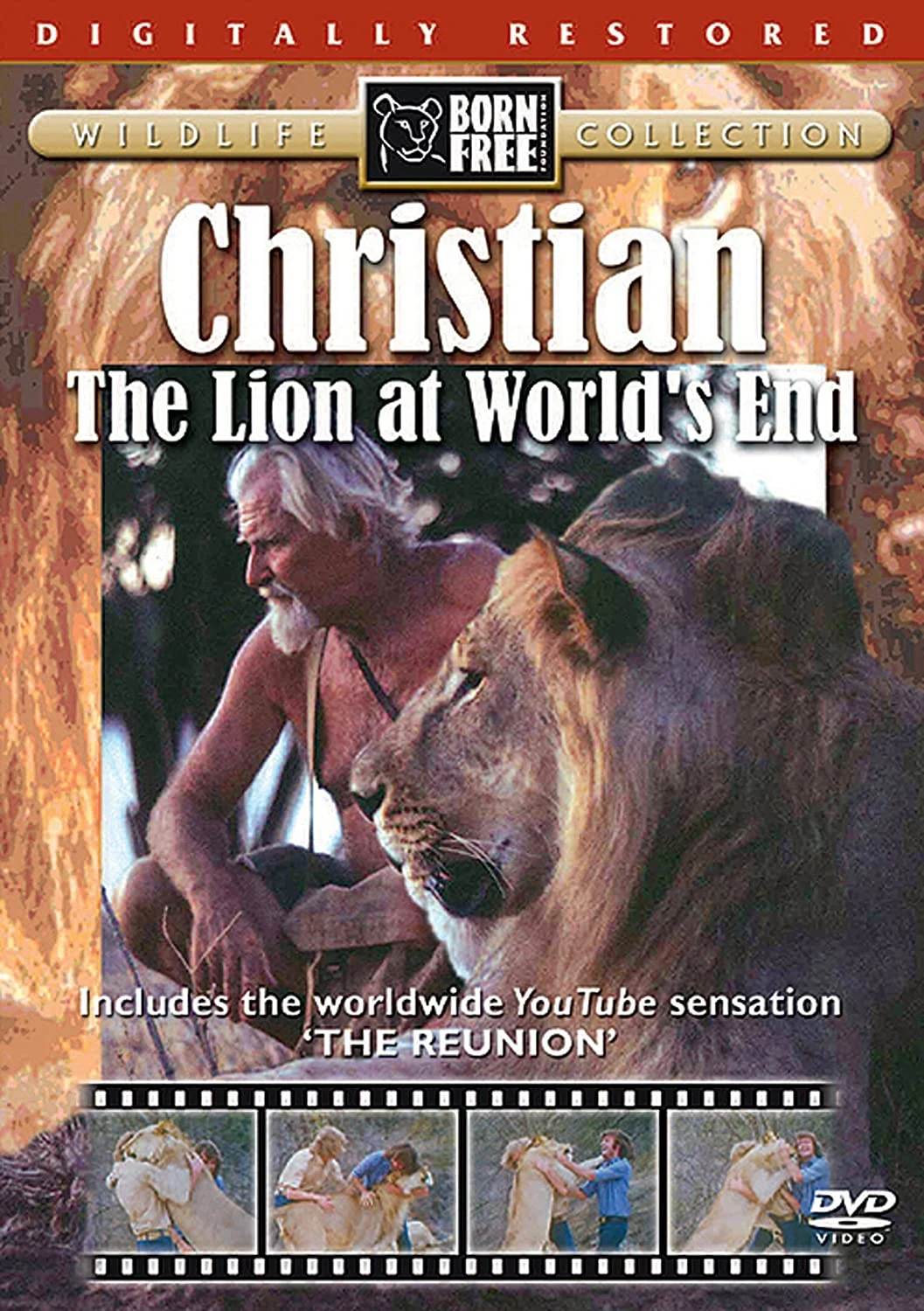 The Lion at World's End