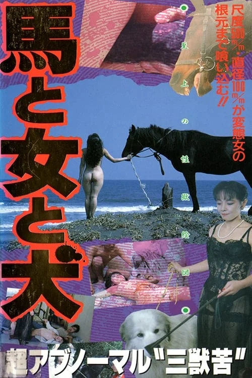 Horse and Dog and Lady